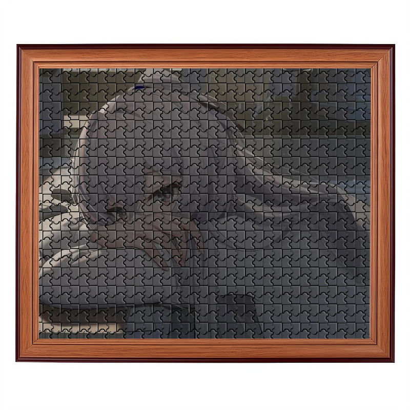 Puzzles impresos a medida a todo color para el tiempo de juego educativo y divertido